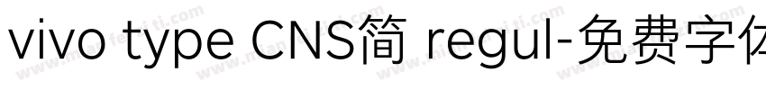 vivo type CNS简 regul字体转换